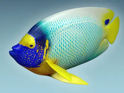 Angle Fish 16 3D model