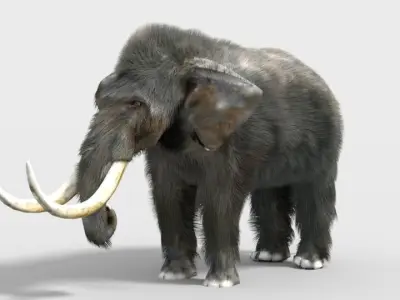 pygmy mammoth Low-poly 3D model
