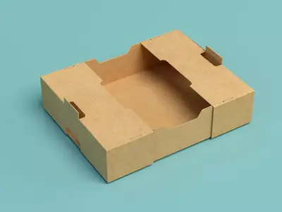 Packing Box Model 3D model