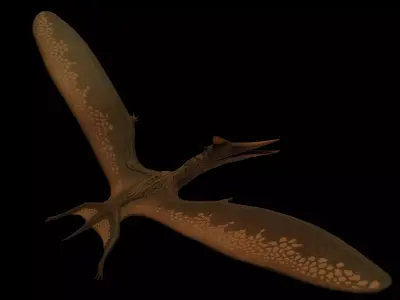 Pterodactyl Antiquus Asset Pack Low-poly 3D model