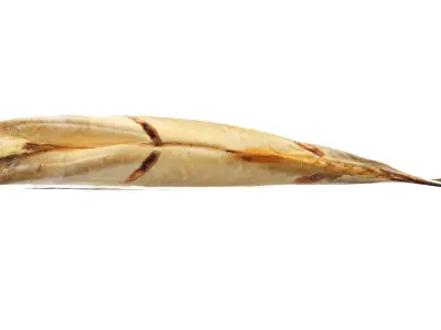 Smoked mackerel Low-poly 3D model