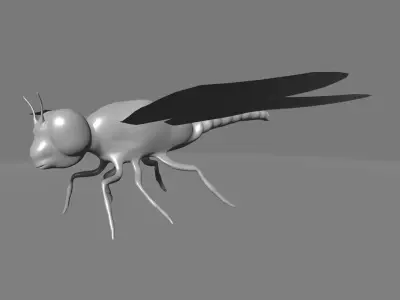 Meganeuropsis fly 3D model