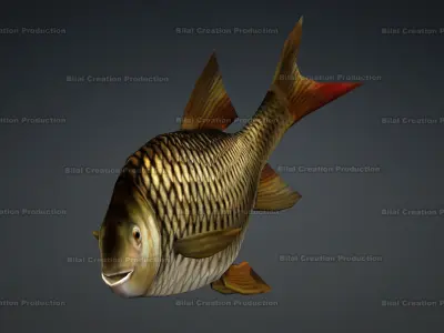 FISH ANIMATED Low-poly 3D model