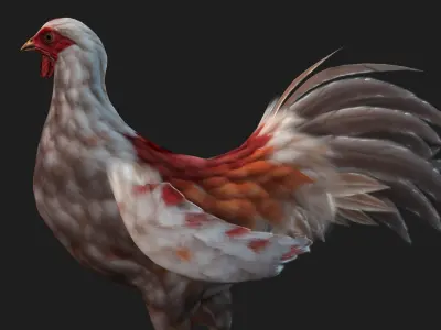 Chicken A2 3D model