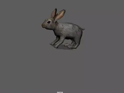 rabbit bunny  hare 3D model