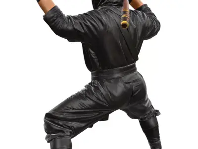 Ninja 3D model purchase