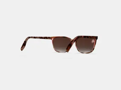 Esme Sunglasses in Sesame Tortoise 3D model