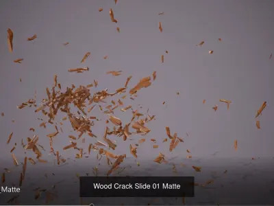 Wood Crack  and debris Pack