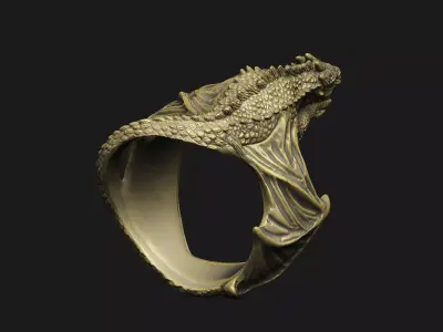 Dragons ring designs power authorities monster killer skull  3D print model