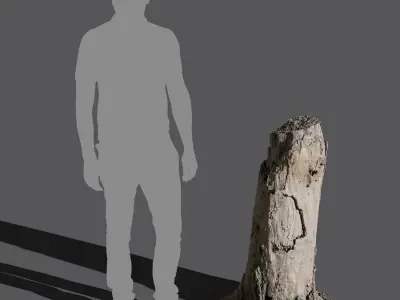  Tall Broken Decaying Stump Model 
