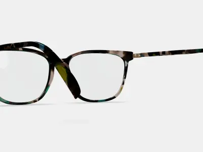 Esme Eyeglasses in Aventurine Tortoise with Polished Gold 3D model purchase