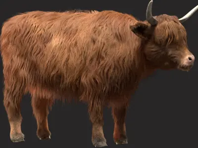 Highland Cow (Rigged) 3D model
