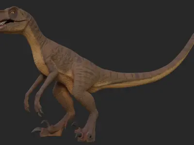 Velociraptor Low-poly 3D model 2