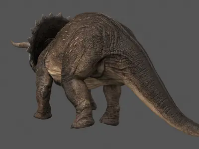 Triceratops-Maya 3D model