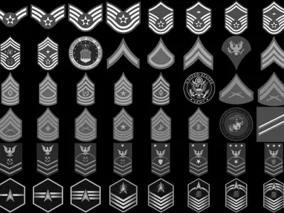  Military Rank and Badges Alpha-Brush Vol1 3D model