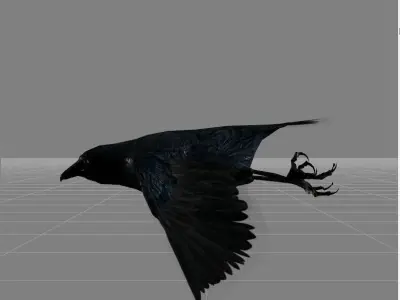 crow v1 animal Low-poly 3D model