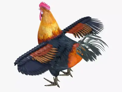 Rooster bird rigged 3d model Low-poly 3D model