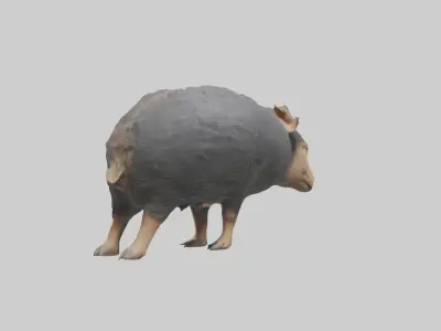 Chacoan Peccary digging model Low-poly 3D model