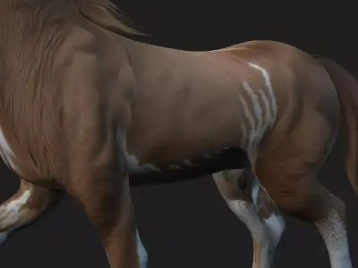 Horse A3 Free 3D model