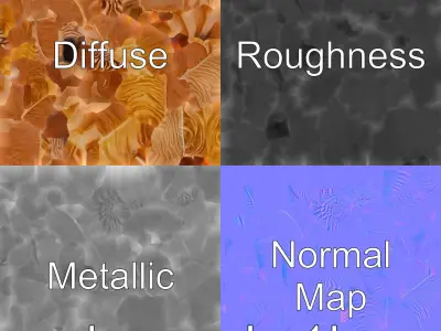 Paper Nautilus Delicate Shell Structure Model Low-poly 3D model