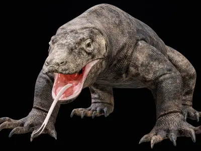 Komodo Dragon 8K PBR 3D model