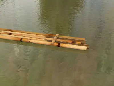 Bamboo Boat 3D model