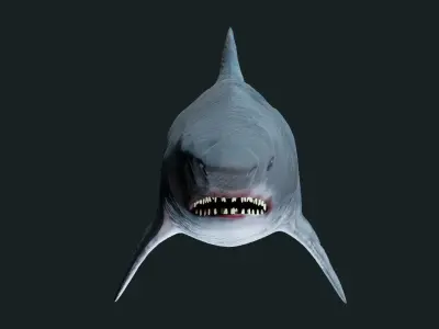 Shark  Low-poly 3D model