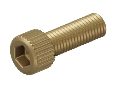 Antique Brass Socket Bolt 3D model