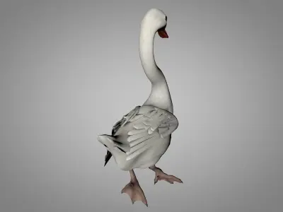 White and black Swan  Low-poly 3D model