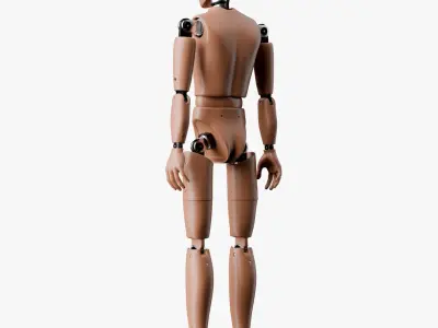 Crash Test Male Female and Child Dummy 3D model