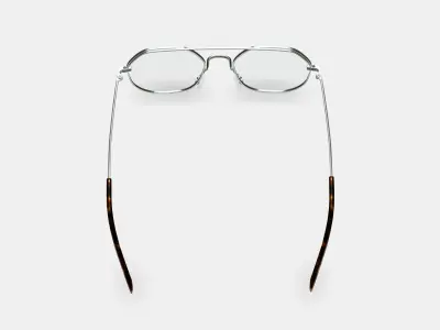 Renaldo Eyeglasses in Antique Silver 3D model