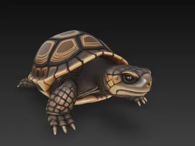 Turtle Realistic 3D Model - Low Poly Realistic Low-poly 3D model