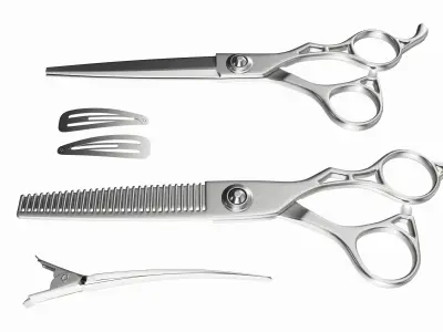 Hair Cutting Thinning Scissors Set Steel 3D model