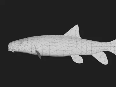 Carp fish Low-poly 3D model