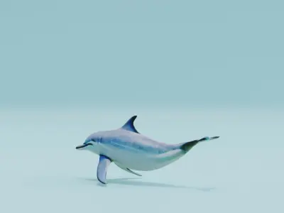Dolphin white and smooth skin Low-poly 3D model