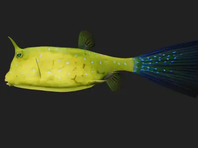 Filefish Low-poly 3D model purchase