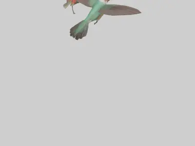 Common Hummingbird hovering model 3D model