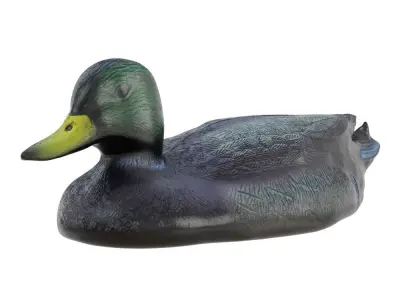 Decorative duck for artificial ponds and pools 3D model