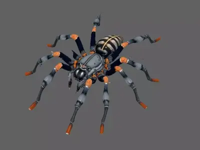 Spider 3D model 18