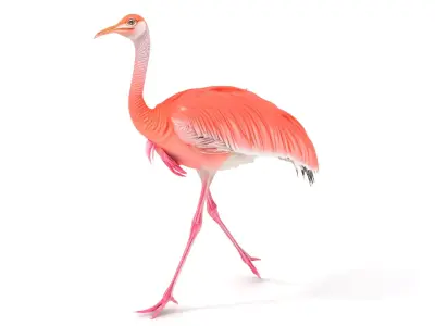 Elegant Flamingo Bird model pack Low-poly 3D model