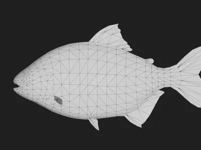 Tambaqui Low-poly 3D model