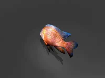 Dragonblood Peacock Low-poly 3D model