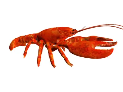 Lobstet lobster Low-poly 3D model