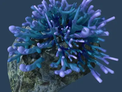 Coral on rock 3D model