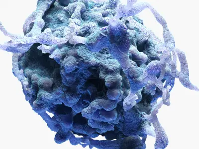 Cancer Cell Mutation 3D model