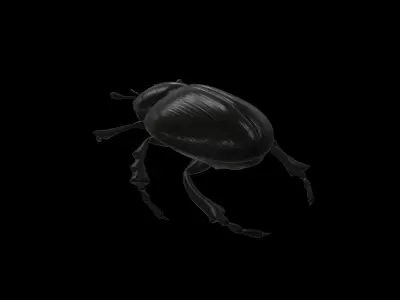 BUGS001 Scarab Low-poly 3D model