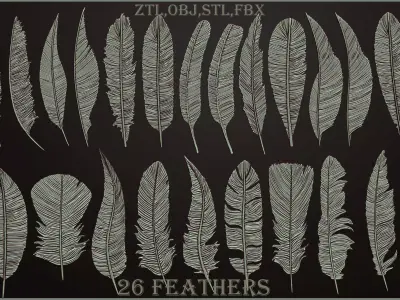 26  Feathers 3D model