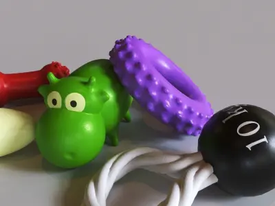 Dog Toys Low-poly 3D model