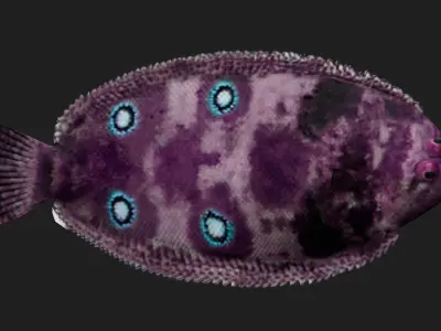 Flatfish Low-poly 3D model 2
