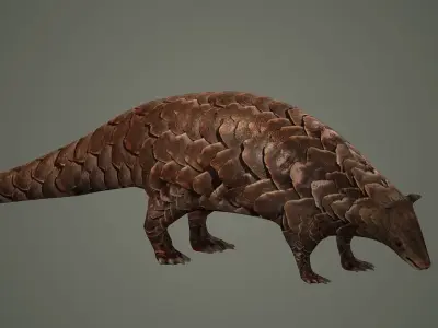 mammal african maya pangolin asian asia animal 3D model